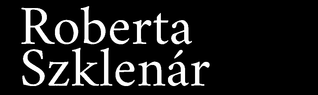 sicherungskopie von huba cser logo